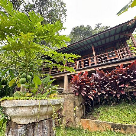 Sang Tirta Resort Penebel Zewnętrze zdjęcie