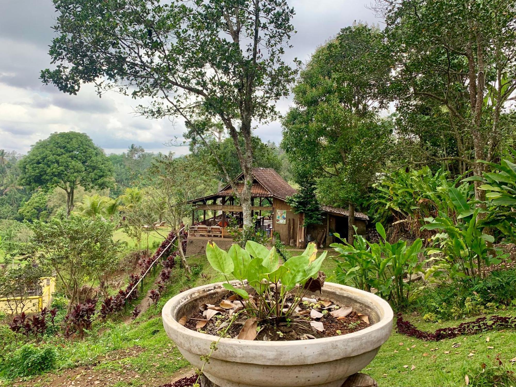 Sang Tirta Resort Penebel Zewnętrze zdjęcie