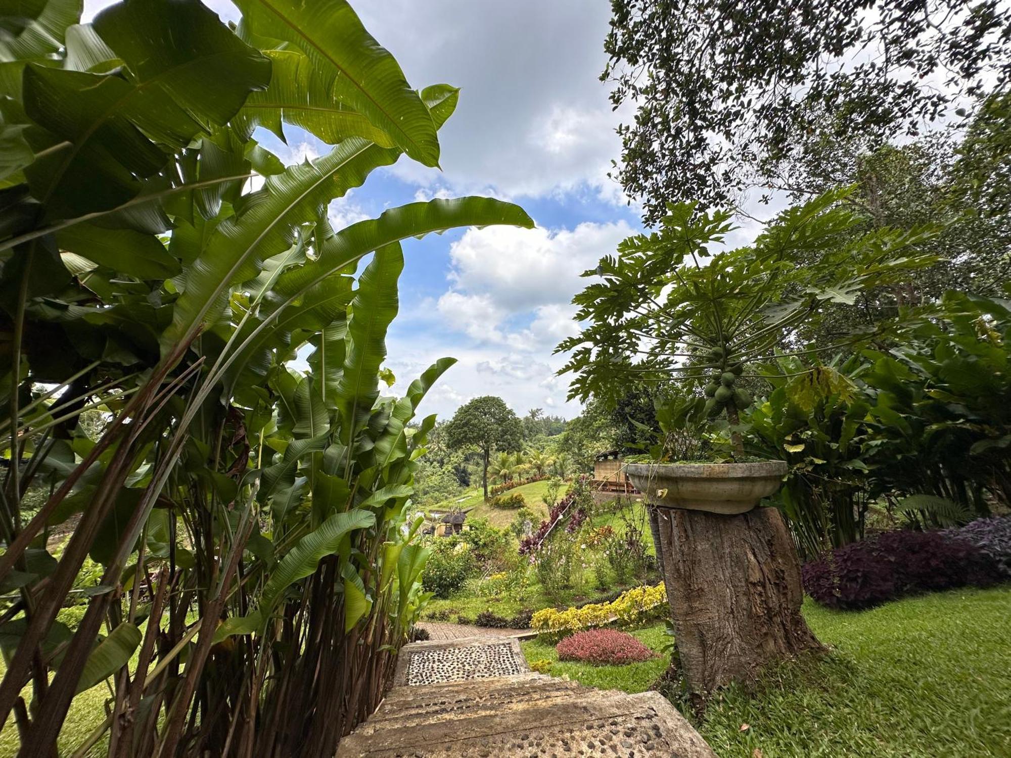 Sang Tirta Resort Penebel Zewnętrze zdjęcie